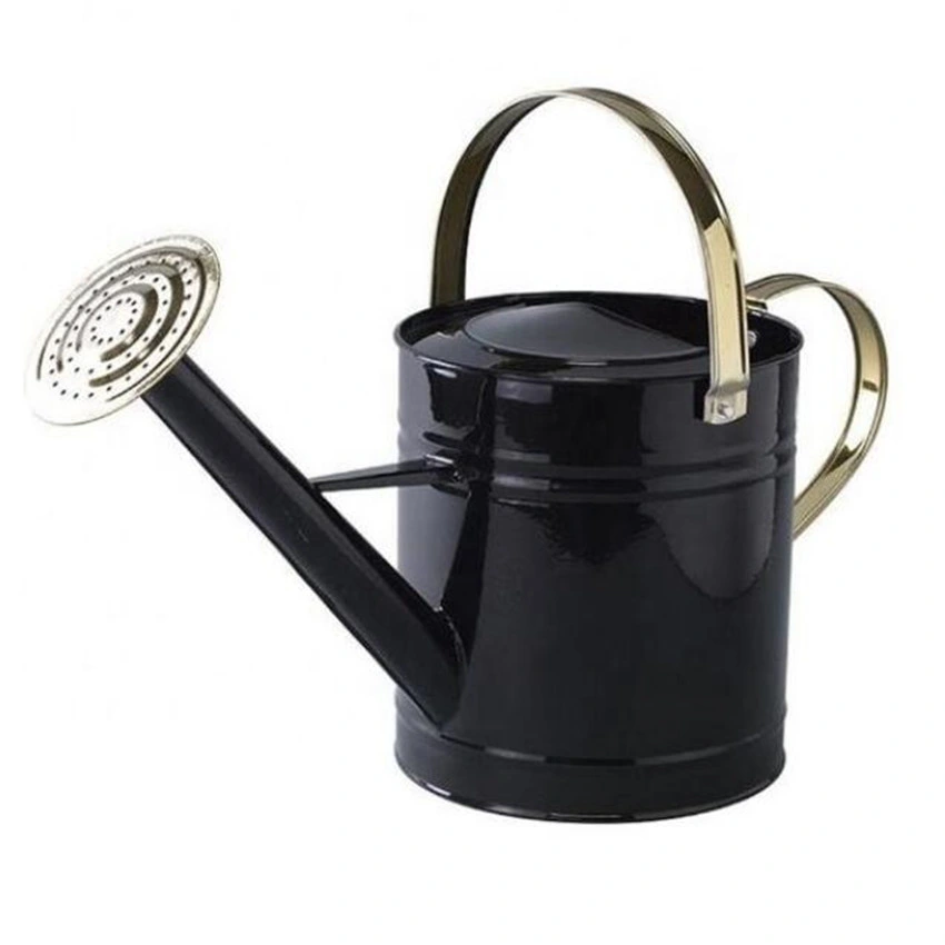 Classic Gold Watering Can for Plants