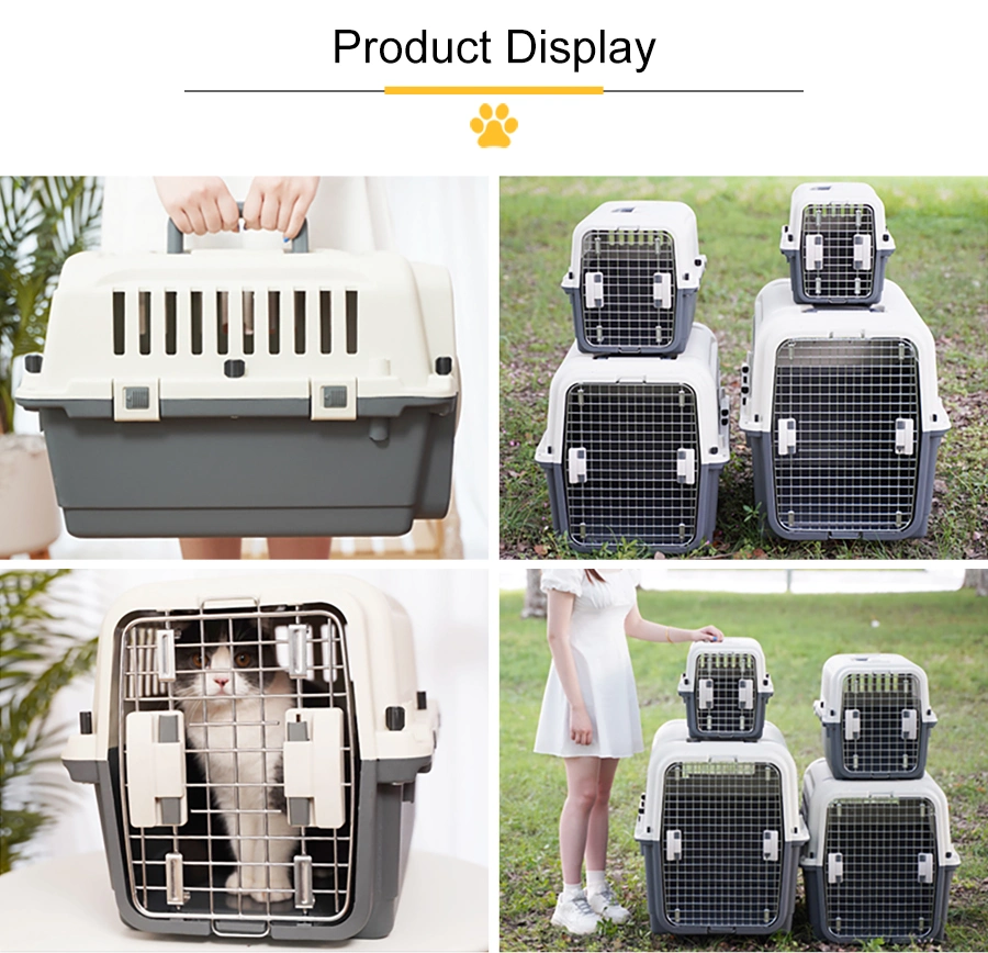 Airline Approved Plastic Crate for Large Dog and Cat Air Box