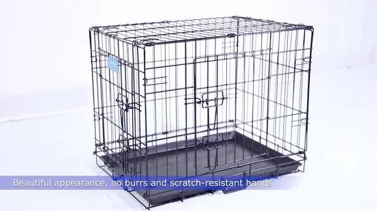 Caisse de fer en gros chenils double porte grande cage pour chien de compagnie
